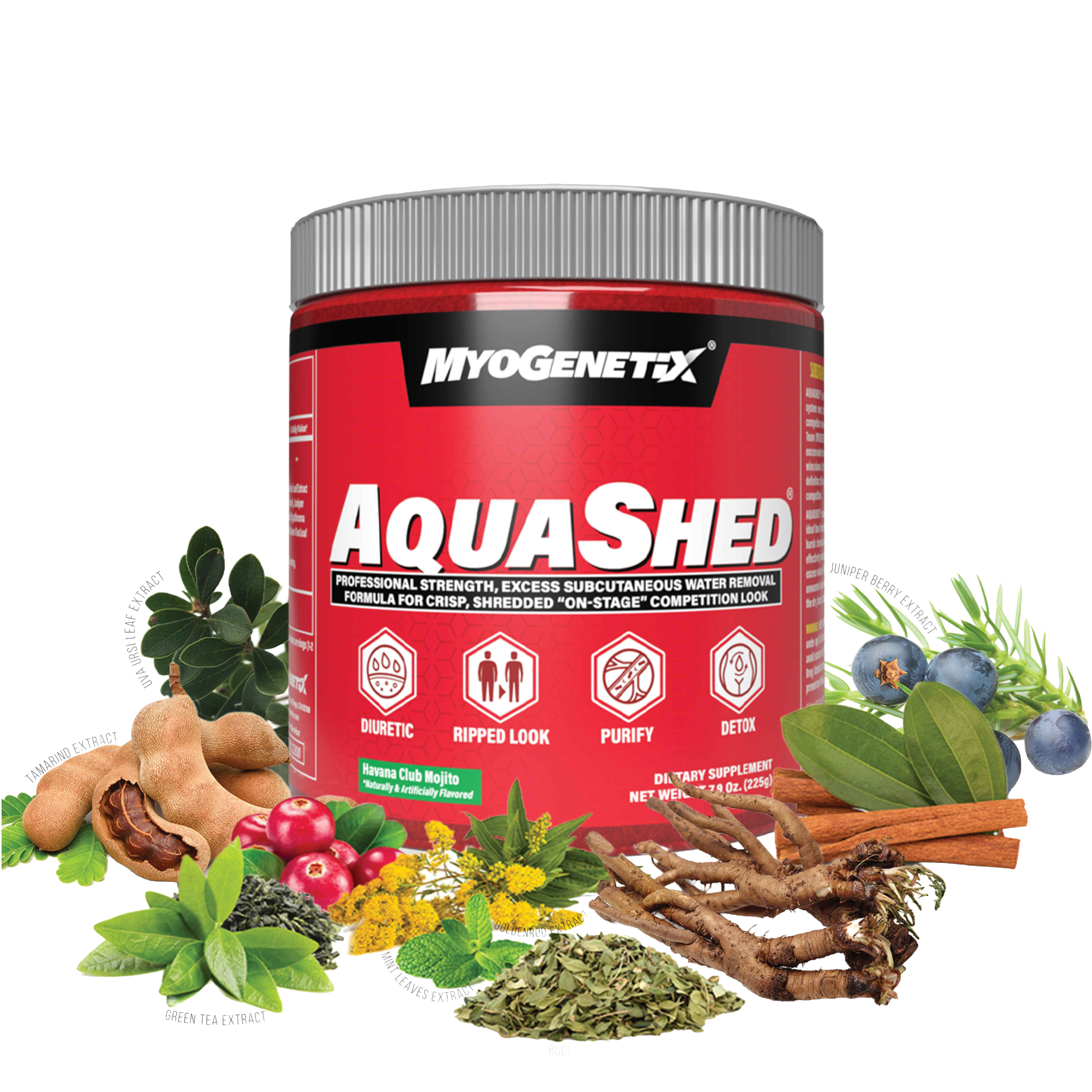 Myogenetix Aquashed 225 g Havana Club Mojito